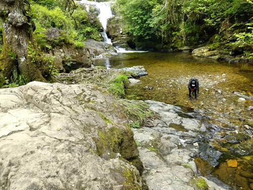 Aira Force
